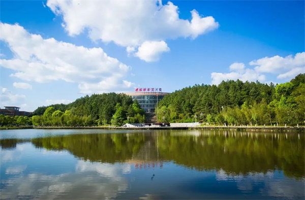景德镇陶瓷大学2024年本科招生章程